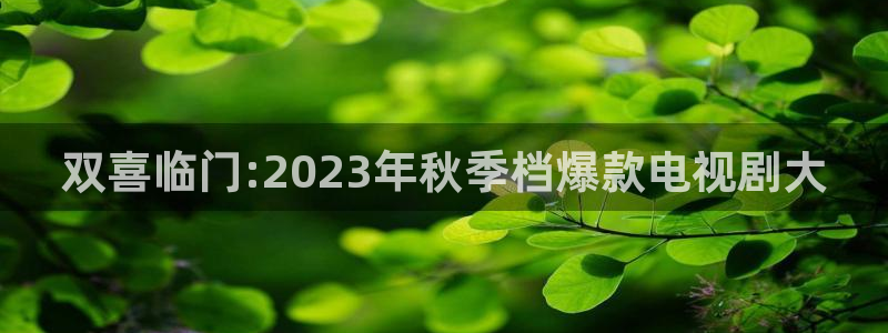 桃子影院免费官网入口：双喜临门:2023年秋季档爆款电视剧大