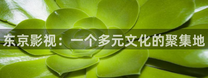 桃子有什么：东京影视：一个多元文化的聚集地